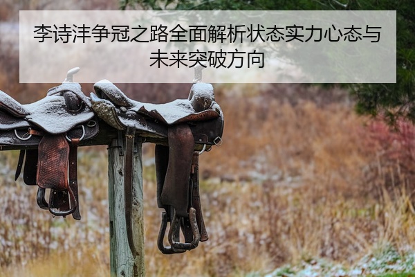 李诗沣争冠之路全面解析状态实力心态与未来突破方向