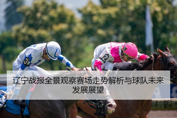 辽宁战报全景观察赛场走势解析与球队未来发展展望